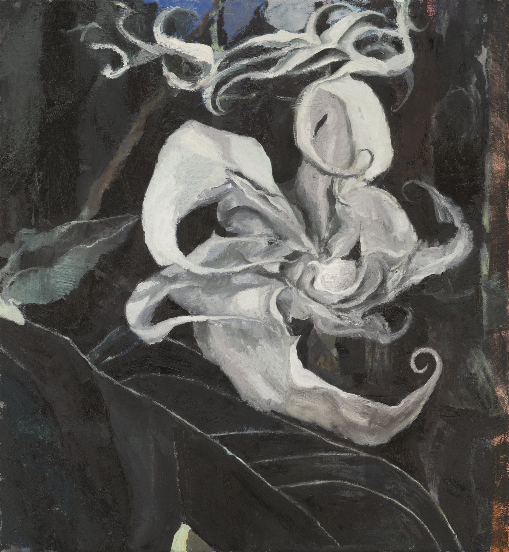 Untitled; Flower